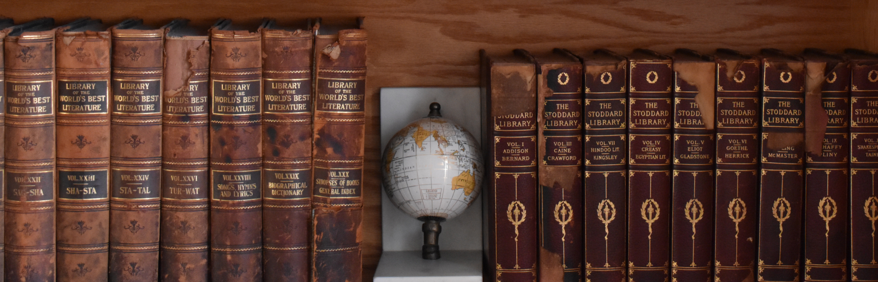 Anna Marie Carroll Editing Writing